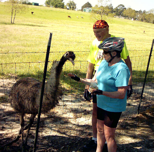 The Kreugers feed the emus