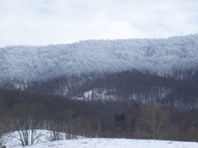 Big Walker Mountain