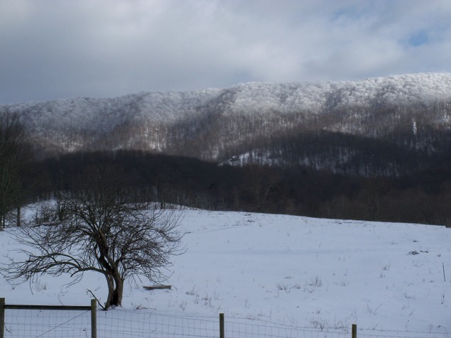 Big Walker Mountain